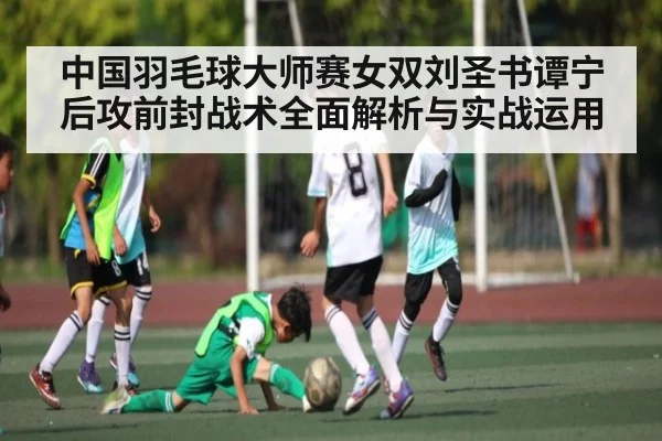 中国羽毛球大师赛女双刘圣书谭宁后攻前封战术全面解析与实战运用