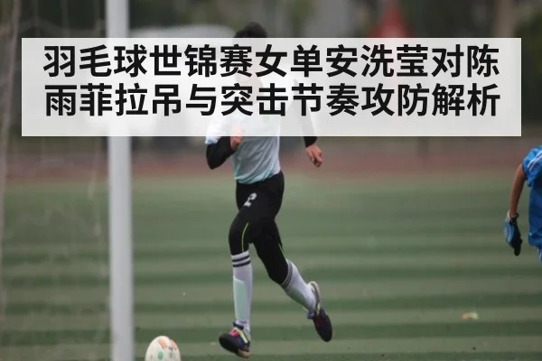 羽毛球世锦赛女单安洗莹对陈雨菲拉吊与突击节奏攻防解析