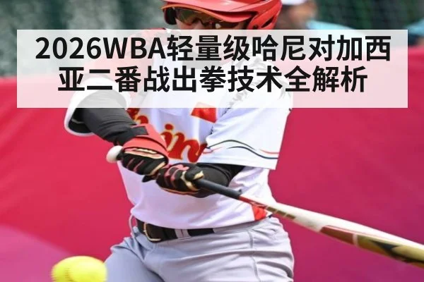 2026WBA轻量级哈尼对加西亚二番战出拳技术全解析